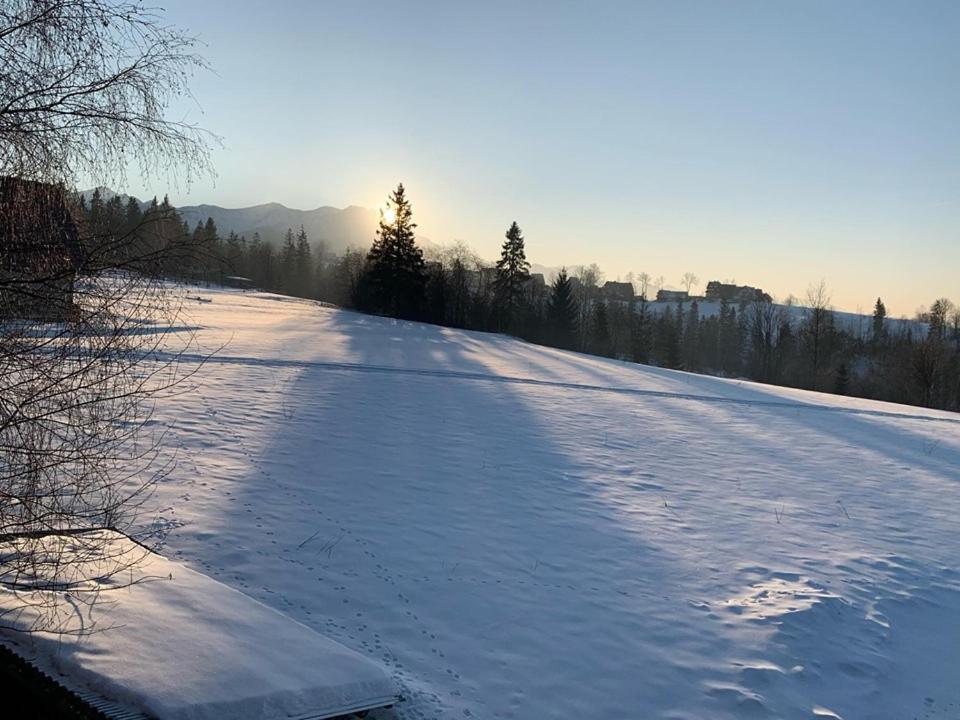 Apartament Pod Tatrami Zakopane Zewnętrze zdjęcie